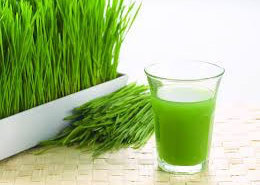 wheatgrass